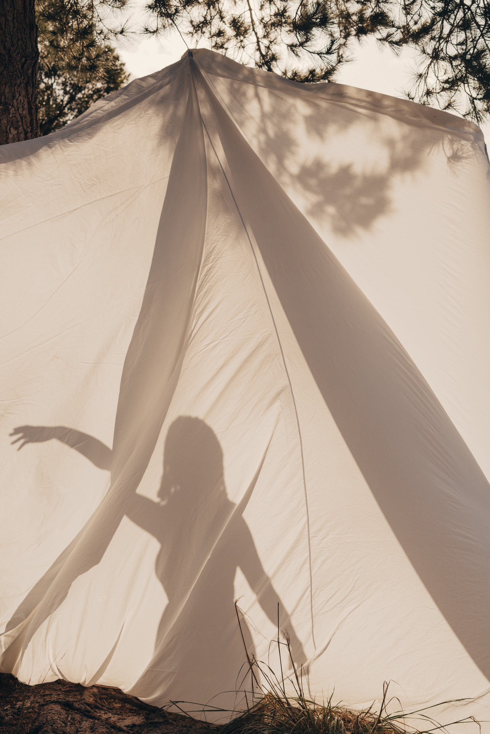 Shadow of a Woman Dancing